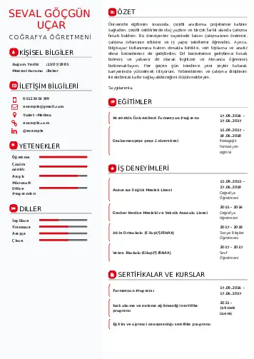 Coğrafya Öğretmeni CV Örnekleri cv indir